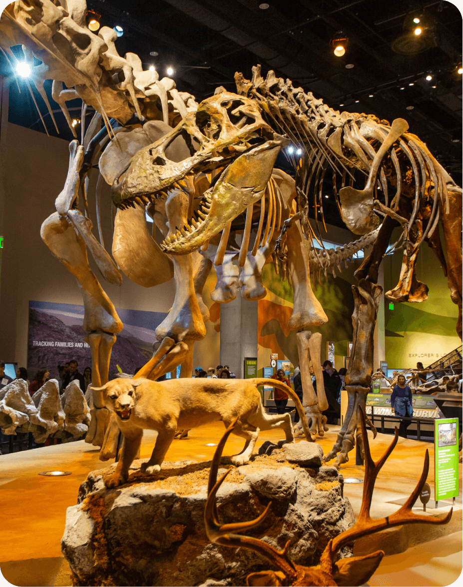 Perot Museum of Nature & Science